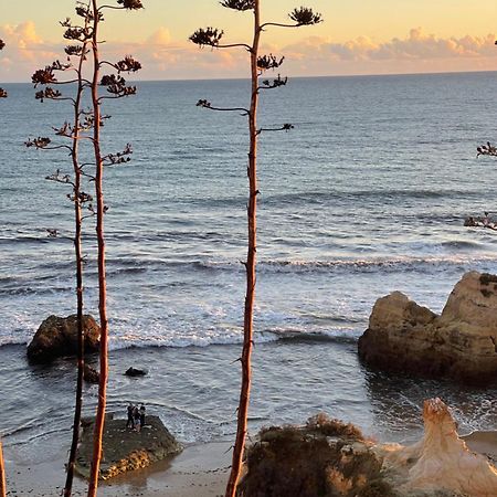 Apartamento Da Avo Te - Em Frente A Praia C Piscina Portimão Buitenkant foto