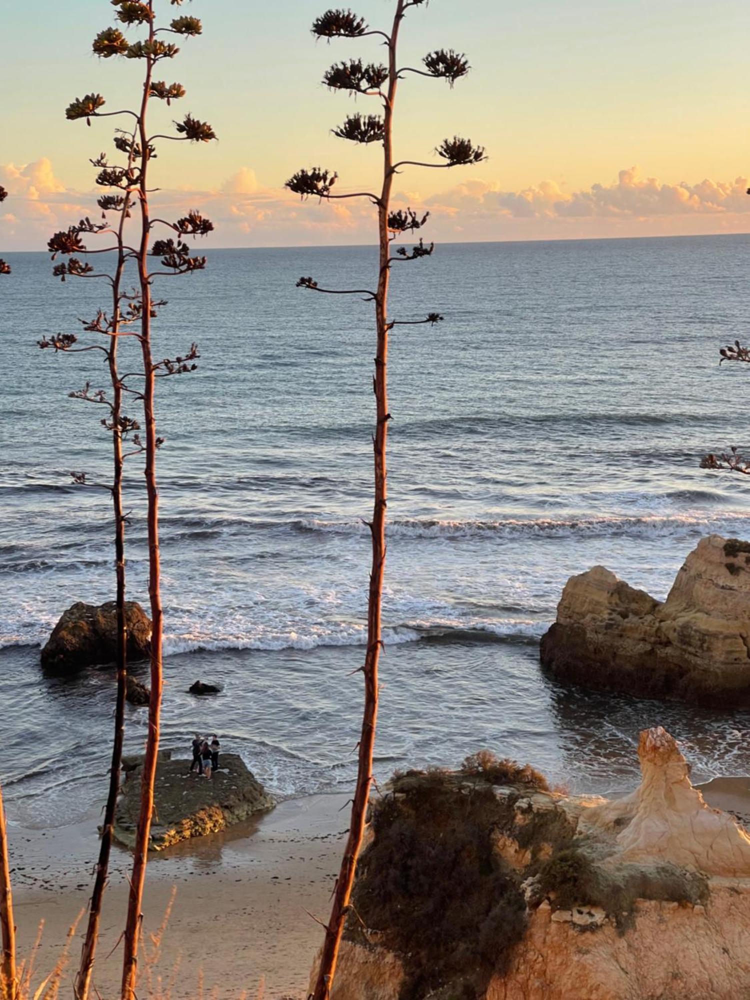 Apartamento Da Avo Te - Em Frente A Praia C Piscina Portimão Buitenkant foto